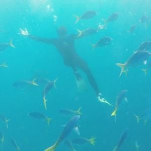 Meet your Posher, Brandon